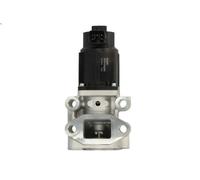 Genuine Delphi EGR Valve for Mitsubishi Pajero L200 OEM EG10543-12B1