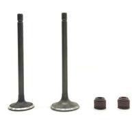 Valve Intake Stem Valve Kit Oil Seal For AN125 BGM125 1995-2000 2005 2007 2014 VS125