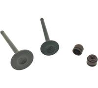Valve Kit with Oil Seal For Y YD110CRUX YD-100 YD110 100cc