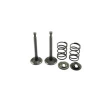 Valve Spring Retainer Kit Fit For Hd 5.5HP GX160 6.5HP GX200 Go Kart Bike