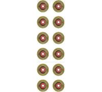 Valve stem seal kit 12-12155-01 VICTOR REINZ for PEUGEOT CITROËN DS OPEL TOYOTA