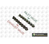 Valve stem seal kit VK2391 BGA for BMW RENAULT VOLVO ALPINE CITROËN VW AUDI FORD