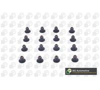 Valve Stem Seal Set Fits BMW Citroën C3 DS Mini Opel Peugeot Vauxhall BGA VK1379