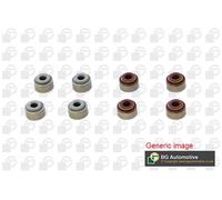 Valve Stem Seal Set Fits Dacia Renault Logan Logan MCV Sandero BGA VK2328
