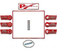 Victor Reinz Valve Stem Seal Set ID High