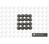 Valve Stem Seal Set Fits Ford Jaguar Land Rover Mazda Volvo BGA VK2372