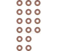Valve Stem Seal 12-29491-01 Reinz 61205000584X 1990500158 00A198675 Quality New