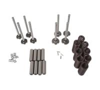 Valve Train Kit 1004512M1 1750072M1 Compatible with Massey Ferguson Tractor TO30 TO35 F40 35 50 135 150 202 204 230 245 2135 2200 20C