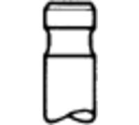 Valves and regulation TRW Engine Component 48225