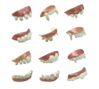 Vampire Teeth Funny Teeth Fangs Fake Teeth Bob Teeth for Masquerade, Party Styling, Cosplay and Halloween, 12 Pieces Random