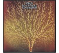 VAN DER GRAAF GENERATOR - STILL LIFE REAMSTERED VINYL EDITION 12" VINYL EDITION [VINYL]