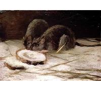 van gogh A4 photo two rats 1884