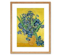 Van Gogh Irises Painting Framed Wall Art Print