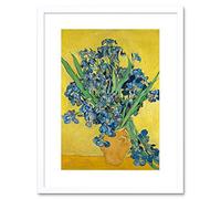 Van Gogh Irises Painting Framed Wall Art Print
