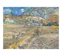 Van Gogh Landscape At Saint Remy Enclosed Field With Peasant Large Wall Art Print Canvas Premium Poster Mural