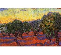 Van Gogh Olive Groves 1889 France Home Decor Famous Paint Print Poster Wall Art Picture Image A4 +