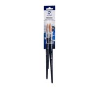 Van Gogh Watercolor Brush Set Series 191 #10-18-24