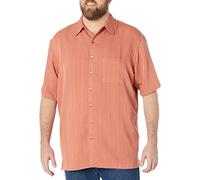 Van Heusen Men's Big and Tall Air Short Sleeve Button Down Poly Rayon Stripe Shirt, Red Barn, XL
