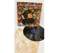 VAN MORRISON - VAN MORRISON a sense of wonder, MERH 54