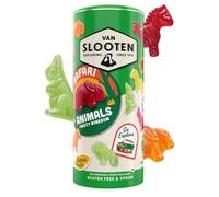 Van Slooten Safari Animals Fruity Gummies (340g) Tube - Vegan Gluten-Free Juicy Sweets with 4 Animal Shapes, 5 Flavours - Delight Gift for Father's Day, Birthday Candy, Halloween Treat