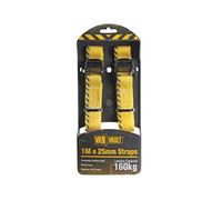 Van Vault 1m x 25mm Endless Strap Pair - Yellow (S10678)