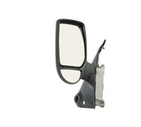 VAN WEZEL 1898801 Wing mirror