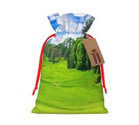 Vancouver Golf Course Gift Bag with Handles and tag, Holiday Decoration, for Christmas, Birthday, Wedding - (S)
