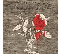 Vandaveer - Oh Willie Please.