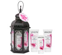 Vandini GP Lantern Metal Black