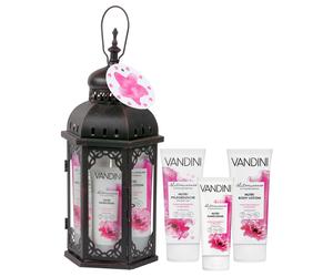 Vandini GP Lantern Metal Black