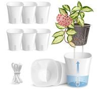 Vandorelle 8 Pack 4" Self Watering Pots for Indoor Plants, Clear Inner Cup, Small White Plastic Planters, Water Level Indicator, Drainage Holes, Extra 3ft Wick, Cuttings,Seedlings,Herb,African Violets