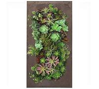 Vandue Modern Home Living Wall Galvanized Steel/Zinc Succulent Planter (Rust Zinc, 12 Pocket)