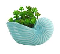 VanEnjoy 5" Ceramic Succulent Pot, Cute Sky Blue Seashell Series, Conch Shaped Cactus Pot Planter, Flower Pot, Pottery Bonsai Pot