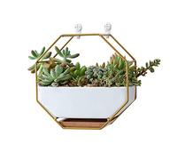 VanEnjoy 7" White Ceramic Wall Planters Vase and Copper,Drainage Hole with Bamboo Tray - Succulent Pot Air Plants Mini Cactus Artificial Flowers Hanging Geometric Hexagon Wall Decor (Gold Metal)