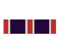 Vanguard AIR Force Ribbon Unit: Outstanding Unit