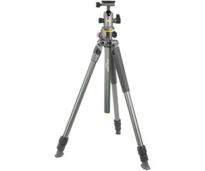Vanguard Alta Pro2+ 263AB 100 Tripod