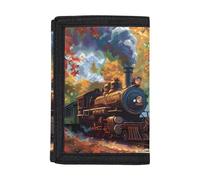 Vanideaoty Dinosaur Pattern Wallet for Boys Purses Durability Coin Pocket Slim Small Pocket Kids Wallet for Boys Ages 5-7, Train, One Size, Classic