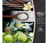Vanilla and Sea Salt