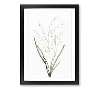 Vanilla Lily Flowers by Pierre-Joseph Redoute Framed Print | A2 Black Framed Wall Art | Ready to Hang | Modern Floral Picture | Living Room Bedroom Lounge Office