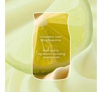 Vanilla Lime