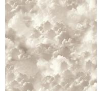 Vanilla Skies Neutral Wallpaper - Clouds Sky Realistic - Modern Contemporary Trendy Stylish Feature Wall