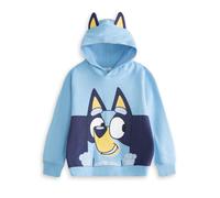 Bluey Light Blue Hoodie | Long Sleeve Hooded Pullover with Cartoon Character Print | Kids Unisex Streetwear Jumper | School Loungewear Top for Children Merch - 5-6 Years