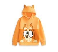Bluey Bingo Kids Orange Hoodie | Long Sleeve Pullover with Cartoon Character Print | Unisex Children's Hooded Jumper | School Loungewear Top Merch - 6-7 Years