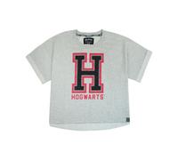 Vanilla Underground Harry Potter Womens Grey Hogwarts Alumni Text Print Cropped Short Sleeved T-Shirt (Large)