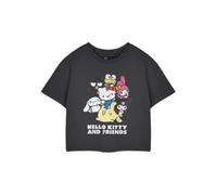 Vanilla Underground Hello Kitty Womens Grey Hello Kitty & Friends Cropped Short Sleeved T-Shirt (Medium)