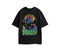 Vanilla Underground How To Train Your Dragon Unisex Black Don't Mess With My Dragon Short Sleeved T-Shirt (Medium)