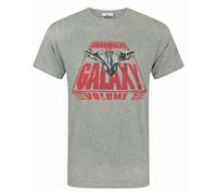 Vanilla Underground Marvel Mens Grey Logo Short Sleeved T-Shirt (Small)