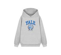 Vanilla Underground Yale Unisex Grey Dog Hoodie (Medium)