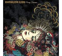 Vanishing Kids - Heavy Dreamer