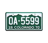 Vanishing Point | OA-5599 | Metal Stamped License Plate